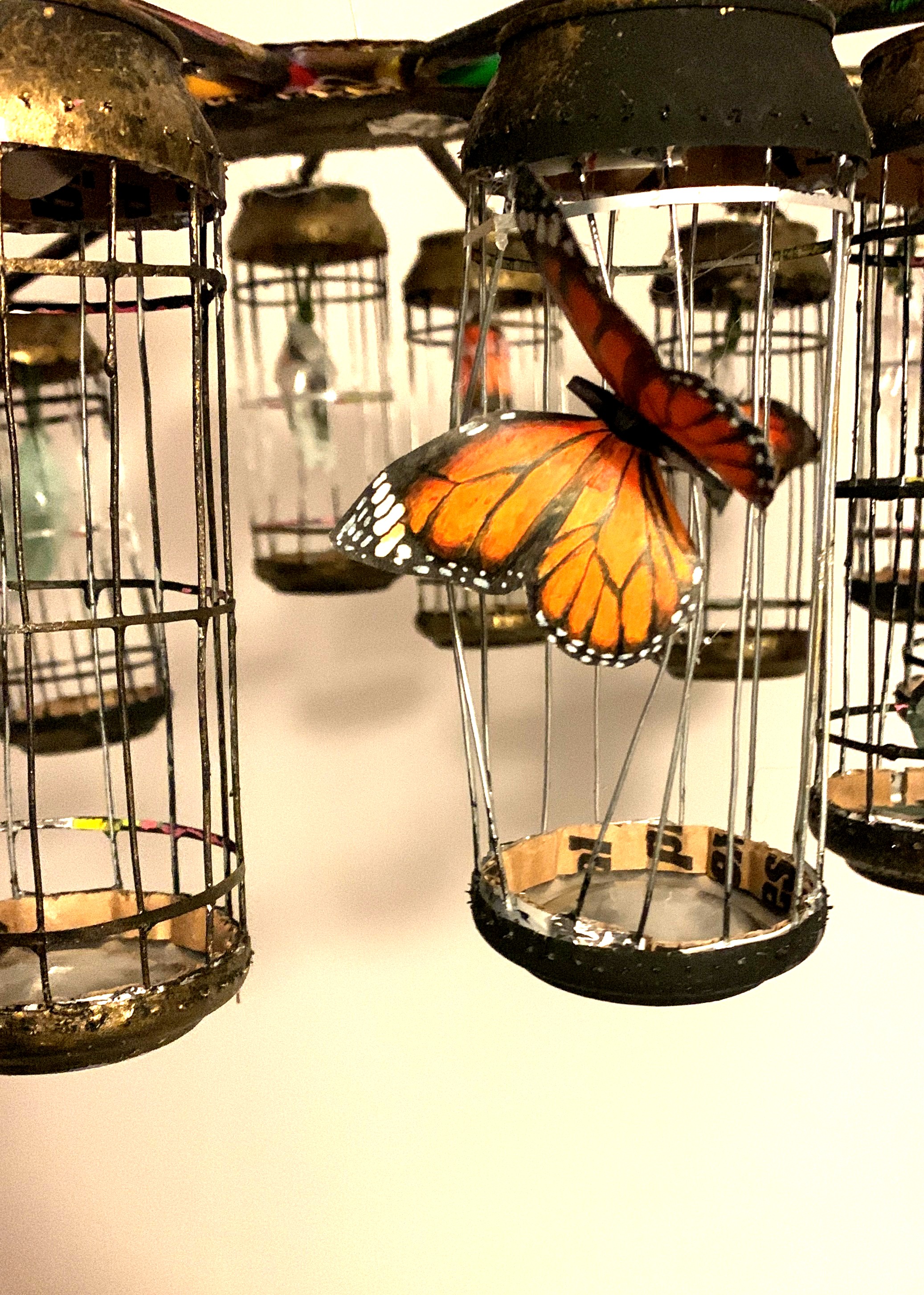Papillon